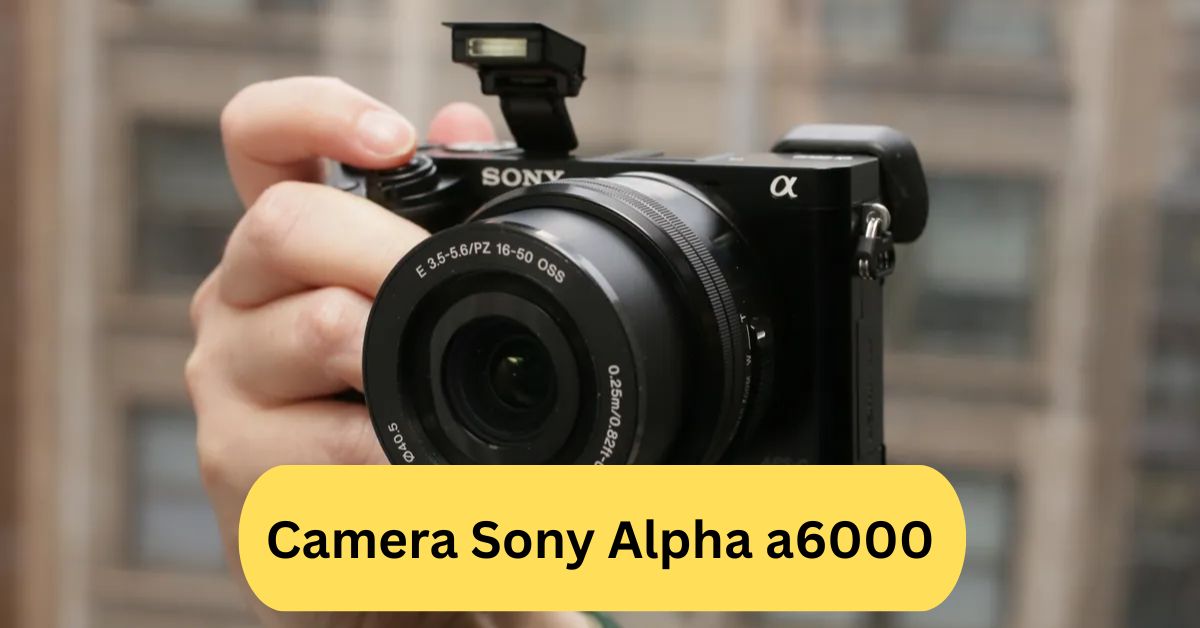 Camera Sony Alpha a6000