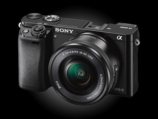 Sony Alpha a6000 specs: