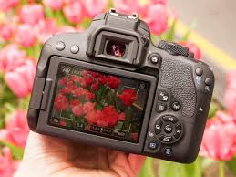 Design and Build Quality: